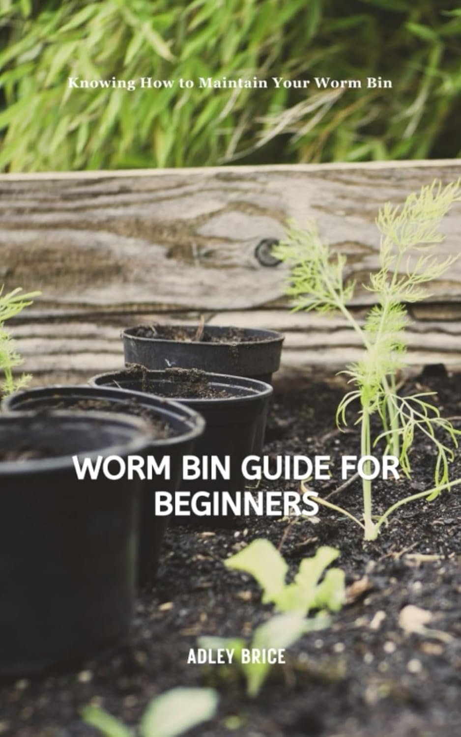 Worm Bin Guide for Beginners: Knowing How to Maintain Your Worm Bin