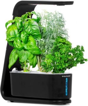 AeroGarden Sprout – Indoor Garden with LED Grow Light, Black