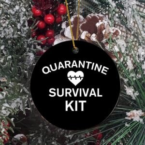Ornaments for Christmas Quarantine Survival Kit Tree Hanging Accents New Home Ornament Ceramic Keepsake Funny Christmas Decor for Living Room.