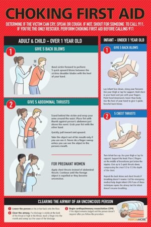 Safety Choking Victim Poster Measures 12″ x 18″, Choking First Aid Poster for Infants, Kids, Pregnants, and Adults, First Aid Guide Quick Reference Guide, Laminated by Ring Binder Depot